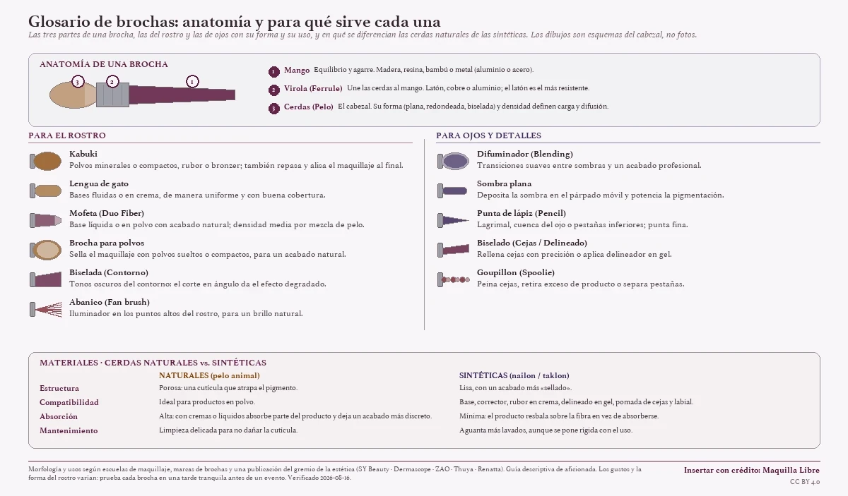 Esquema de una brocha de maquillaje con sus tres partes (mango, virola y cerdas) y una galería de brochas para el rostro y para los ojos, cada una con su forma y su uso, más una comparación entre cerdas naturales y sintéticas.